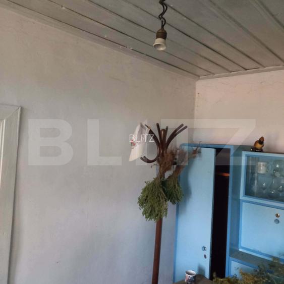 CASĂ DE RENOVAT PE TEREN DE 910 MP – ORBEASCA DE SUS - 6