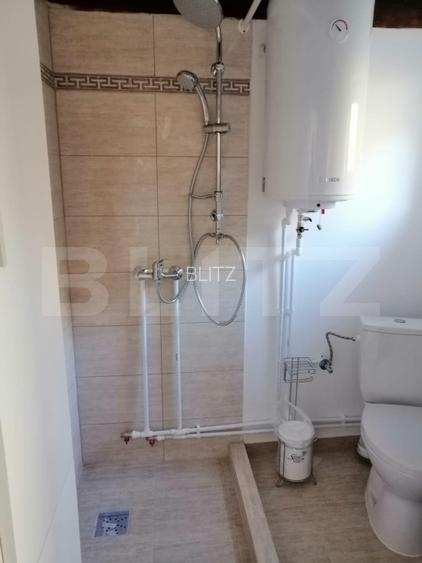 Casa de vanzare, 135 mp si 5 hectare de teren, langa Deva - 7