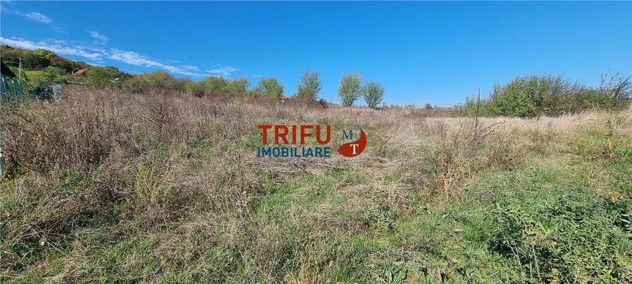 Teren intravilan 1400 mp de vanzare Alba-Micesti