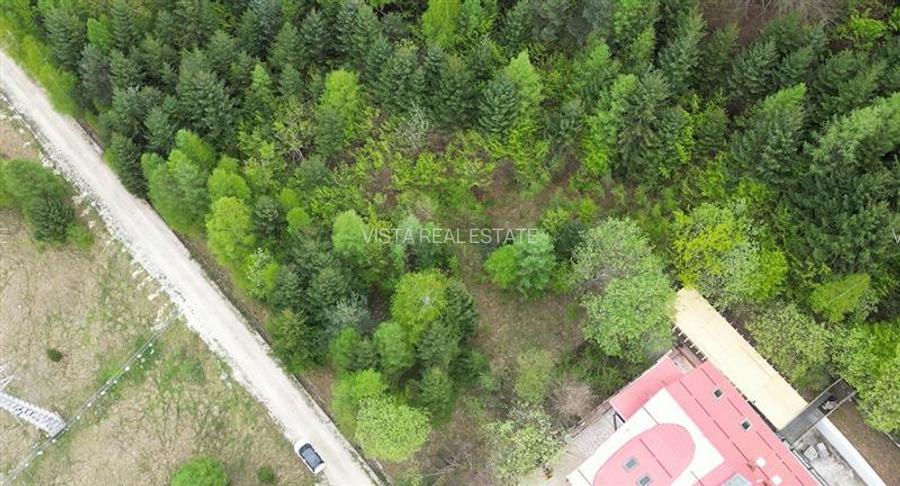 Teren 6500mp Dambu Morii - Bunloc, Brasov - 2
