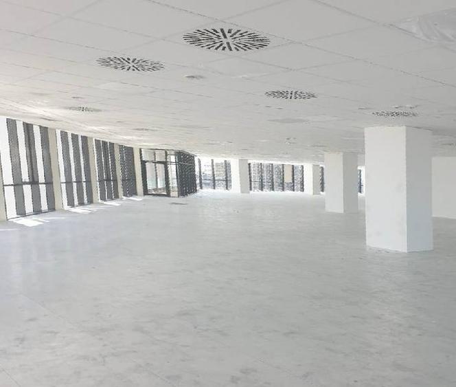 ISHO offices faza 2 Subinchiriere, Central, 700 - 2700 mp  0% comision!