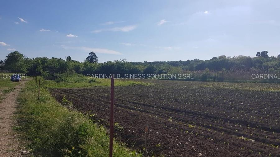 Ciolpani- Drumul Piscului patru loturi teren de la 896 mp pana la 977 mp - 3