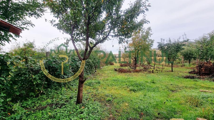 Casă singur în curte, 1.310 mp teren – Gusterița, garaj, pivniță, grădină