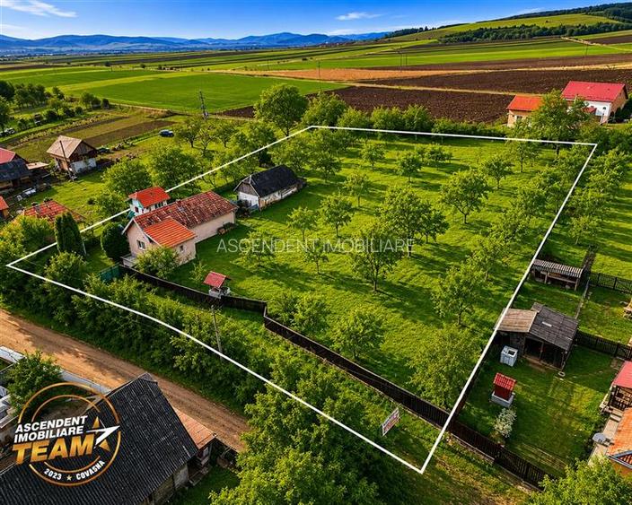 FILM! 5.000mp teren intravilan cu casuta rustica, Dalnic, Covasna - 22