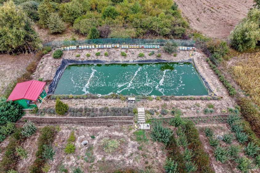 🏡 Mai mult decât o casă: libertatea de a trăi aproape de natură