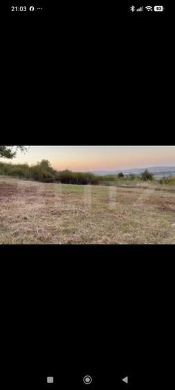 Teren 1240 mp intravilan, Vladiceni