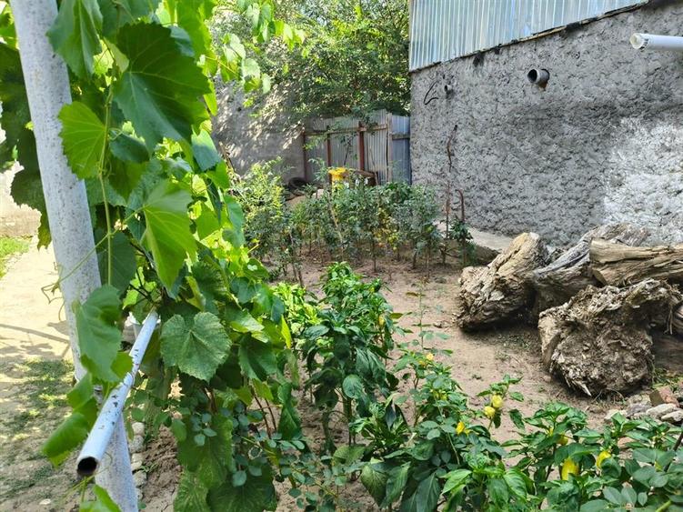 Casa 4 camere, Radu Negru - Buzaului, Teren - 264 mp