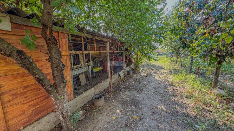 Casa P+1 de vanzare, Bolintin Vale, 230mp utili, curte de 490 mp