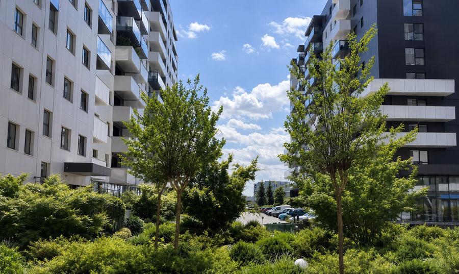Spatiu comercial pentru inchiriat | Cortina North | 180mp