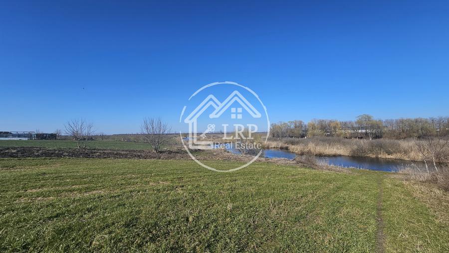 Loturi de Casa pe malul Lacului Creața, Dascălu – 460 mp + Drum servitute