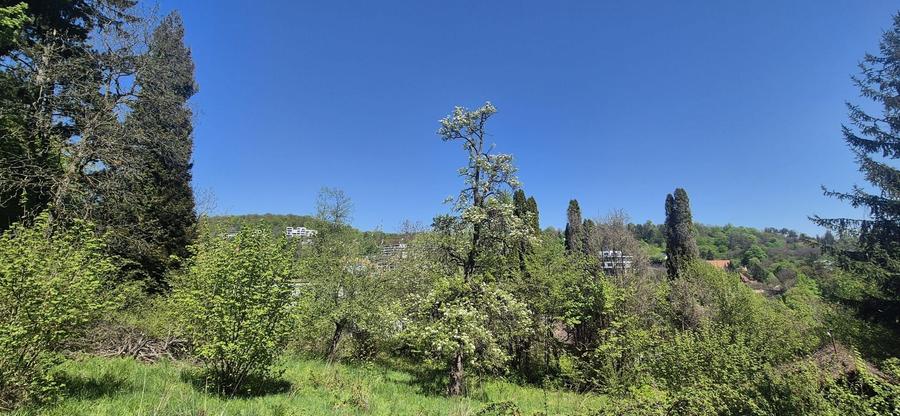 TEREN CU VEDERE PANORAMICA IN CENTRUL ISTORIC AL BRASOVULUI