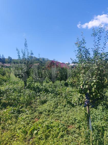 Căsuță tip foișor, 30 mp, pe un teren de 3.000 mp, vedere panoramică, Mihaiesti