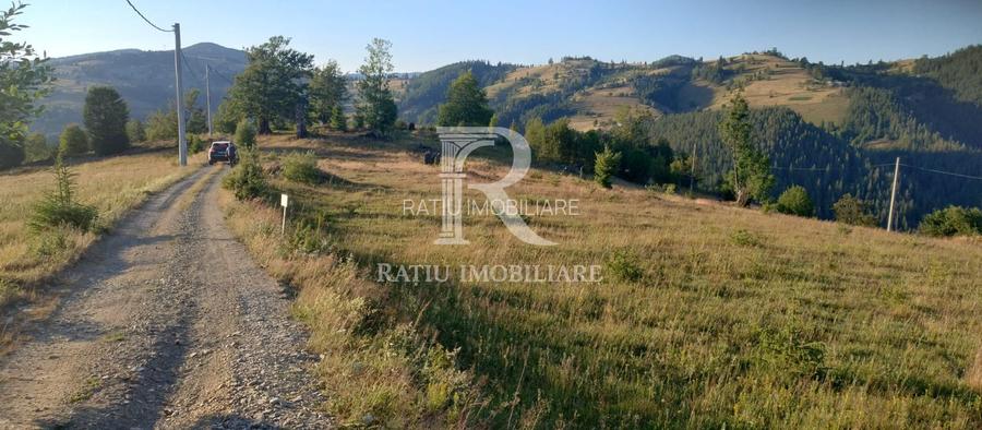 Teren Intravilan | 3.000 mp | Gârda de Sus | Alba | - 4