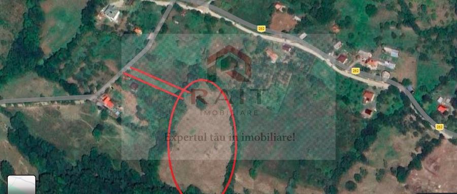 Teren extravilan de vânzare 11.740 mp Corbeni Turburea Argeș