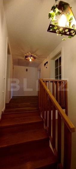 Casa 5 camere, IZVOR