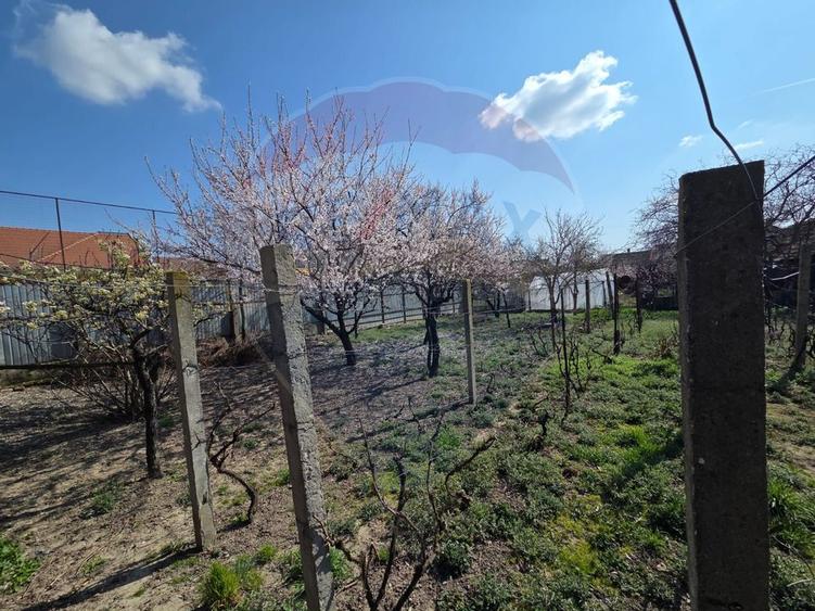 Casă deosebita ultracentral Salonta
