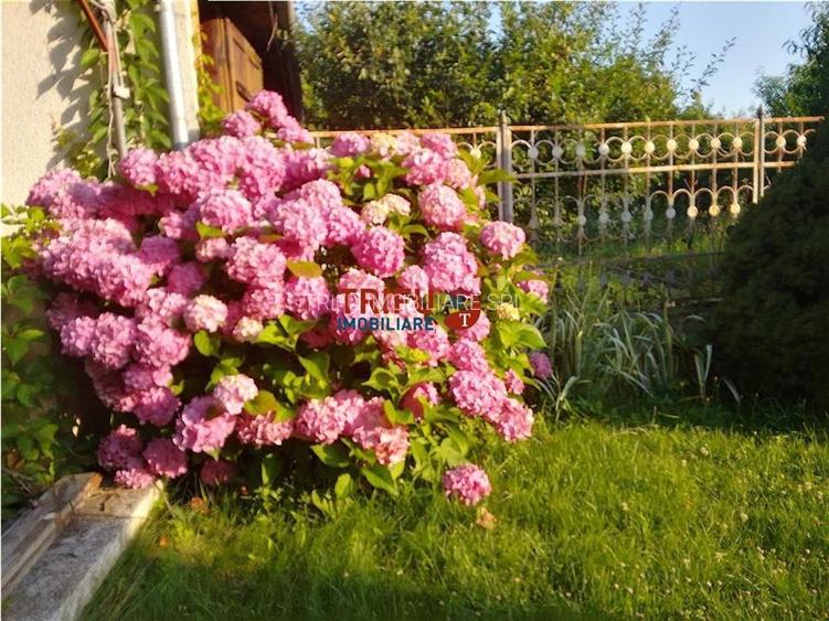 Casa in zona Schit cu 1377mp teren - 13