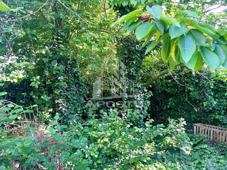 Casa individuala - zona inalta Bujac - 10