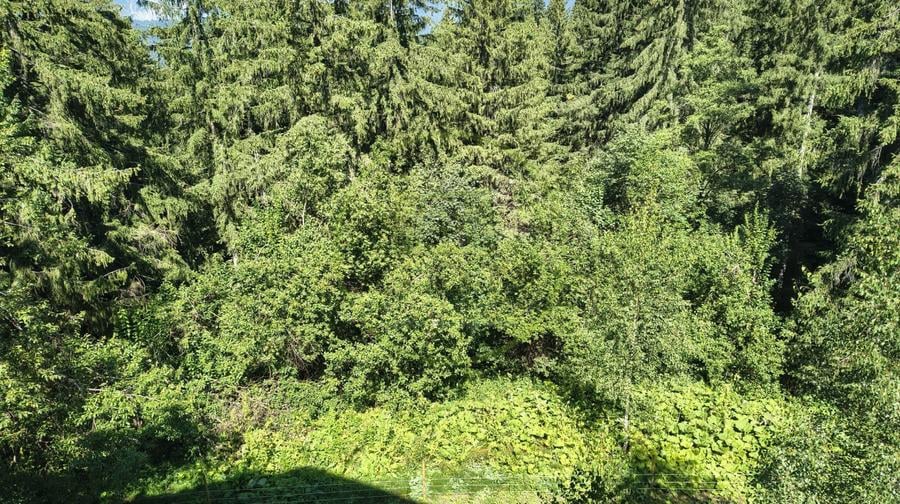 Apartament 2 camere zona Cioplea-Vedere spre Masivul Postavaru