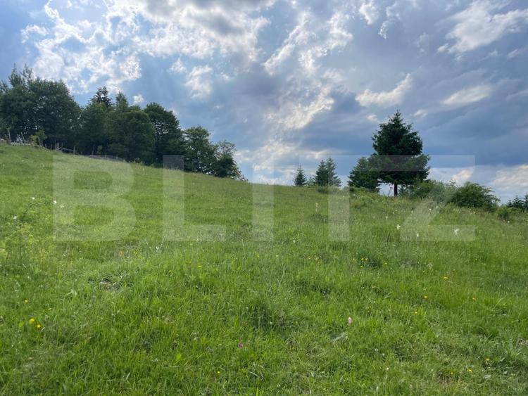 Teren extravilan de vanzare, 2 ha - Campulung Moldovenesc, zona Sandru