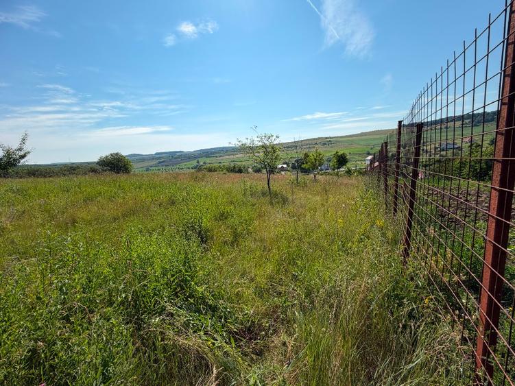 Teren intravilan 3.834 mp Babutiu | Panorama superba mai putin de 20 km de Cluj