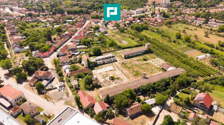 Spațiu industrial cu Teren 13.072 mp în Lipova - 9