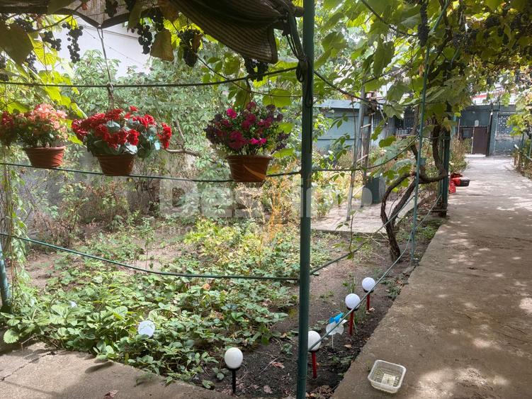 Teren cu construcții și potențial de dezvoltare | Ciupercă – Domenii