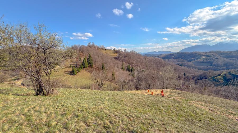 Refugiu de poveste în inima naturii | 12.000 mp în Holbav | Proiect început