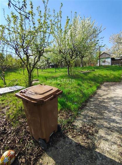 UAT Iasi - Trecatoarea Paun - ideal pentru casa - Bucium 750mp - 6