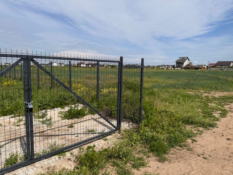 Lot 550 mp, Malinului