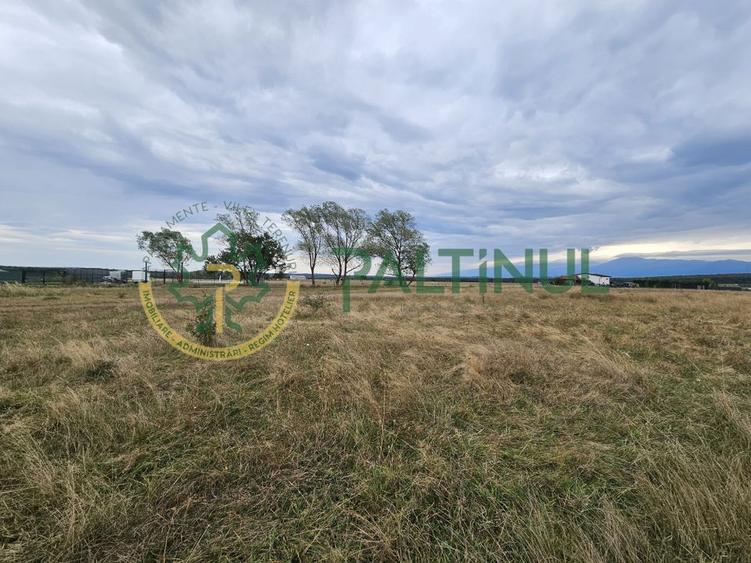 Parcele de vânzare pe Calea Cisnadiei, Sibiu - priveliste spre munti