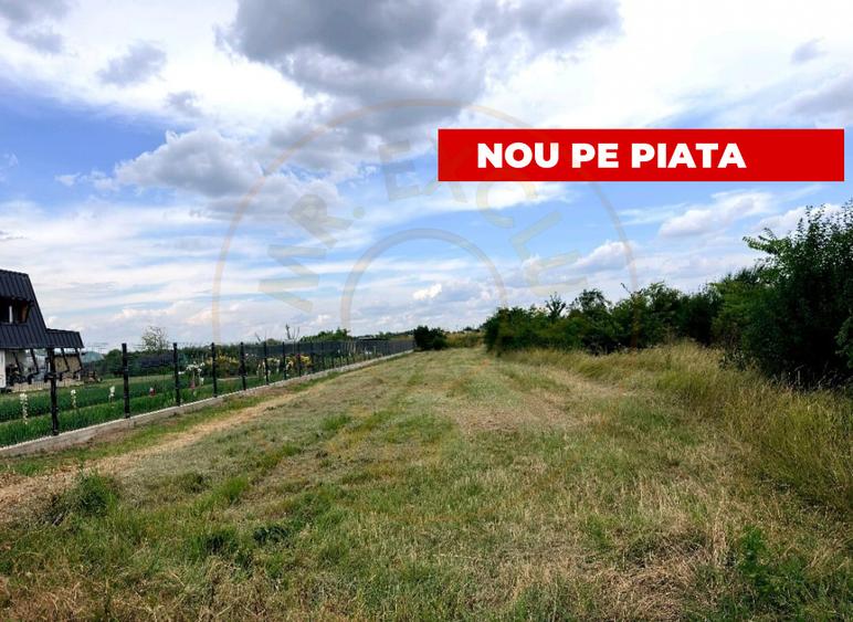 Teren de vanzare in Comuna Bradu – 1.374 mp | Deschidere 13,97 ml | 0% Comision