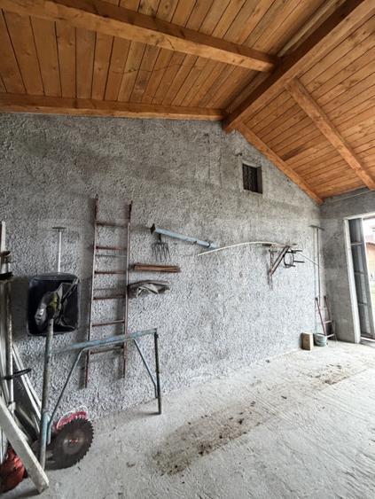 Casa P+beci, 115 mp, 1644 mp teren, zona Pielesti