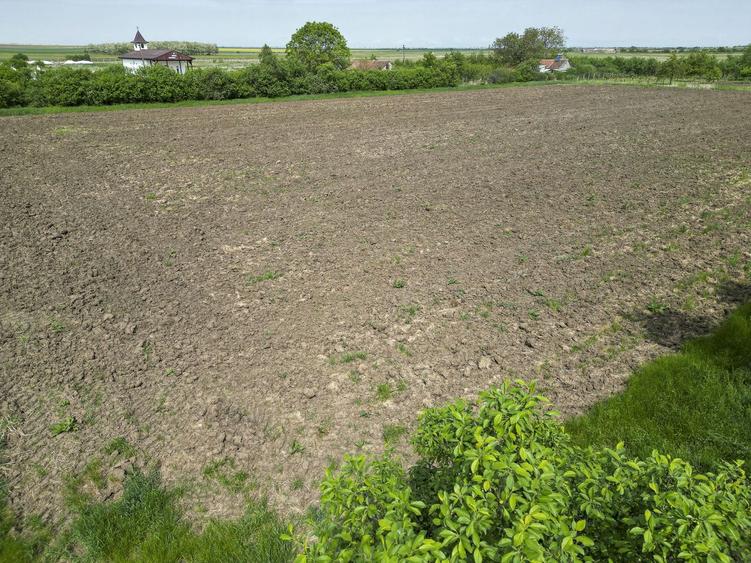 Teren Intravilan de 3,090 mp în Cuvin