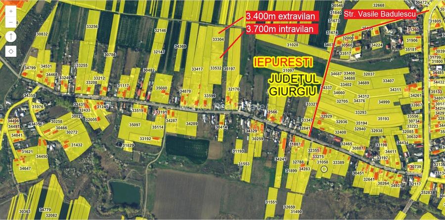 Vand teren Gorneni/Iepuresti/Giurgiu 3700 intravilan + 3400 extravilan - 3