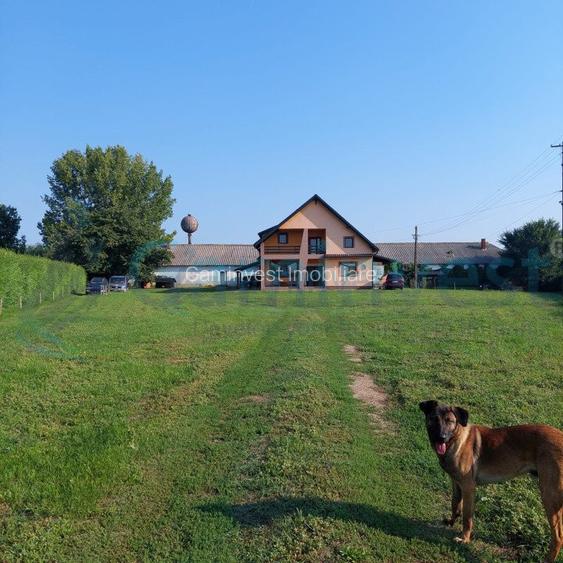 Vilă și fosta fermă 8300 mp în Valea lui Mihai, Bihor - 2