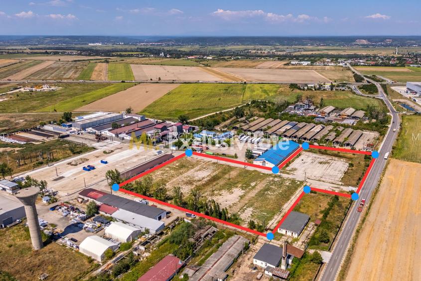 Teren industrial 16.000 mp lângă Autostrada A1 – Căteasca - 2