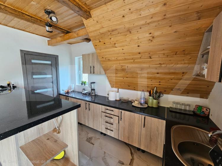 Cabană autentică cu 4565 mp teren, Liniste si Confort, Avram Iancu
