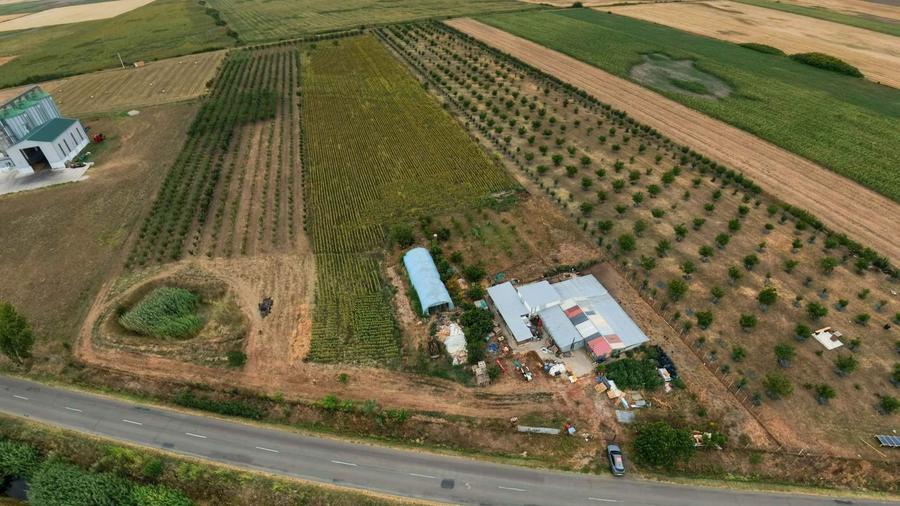 Livadă de 3,6 hectare în Iratoșu – Oportunitate