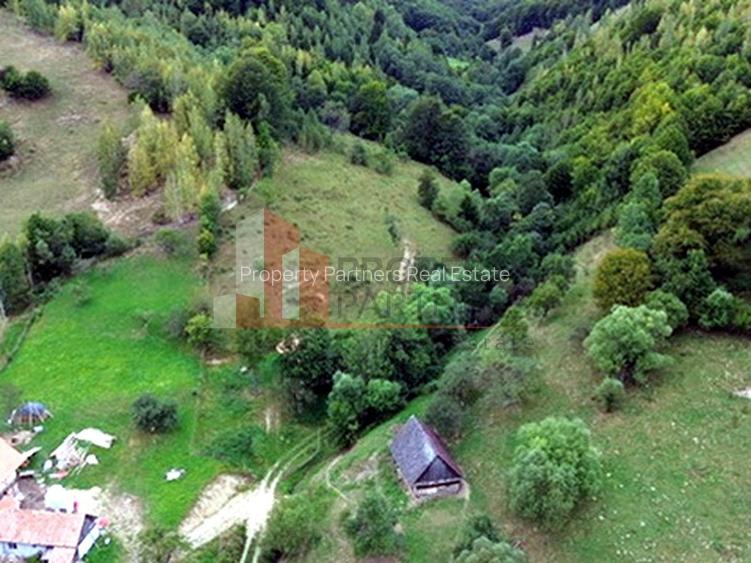 Teren de investiție în Moieciu, lângă Castelul Bran – 11.381 mp, vedere Bucegi - 19
