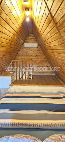 Complex din casa noua si 3 cabane, piscina încalzita 6600 mp teren - 3