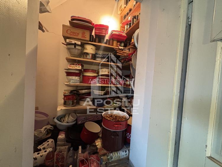 Casa 2 camere de vanzare Calea Sagului, Timisoara, curte comuna - 4