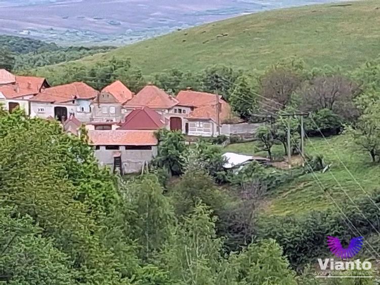 Casă în Poiana Sibiului | 909 mp teren | livadă și anexe gospodărești