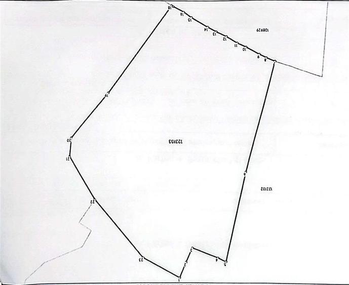 Teren intravilan, 21.000 mp, Zona Intre Barse, spre Plaiul Foii, Zarnesti