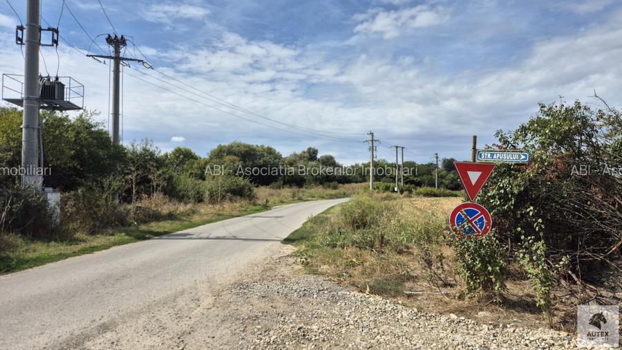 Teren casa 700 mp la Asfalt aproape de Centrul orasului Magurele - 9