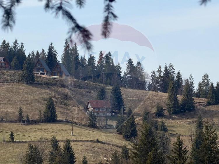 Teren de vanzare în inima Apusenilor – 6.500 mp Arieșeni