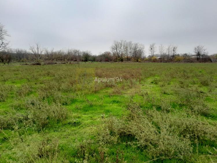 De vanzare casa +teren 16k mp in BARCANESTI / IL - 47