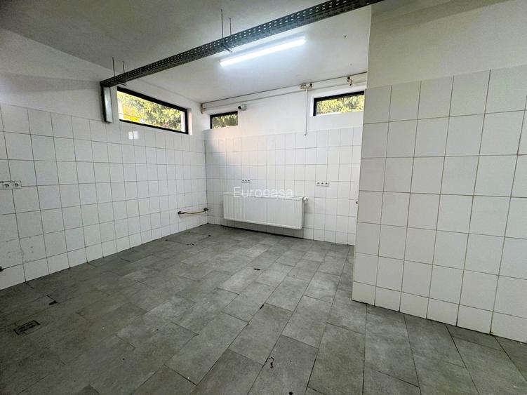 Spatiu cu alta destinatie Lipovei !!! - 9