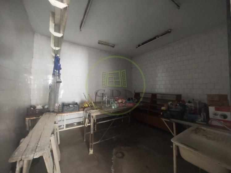 Spatiu comercial 9 camere, casa 2 camere, teren 354 mp, Brestei.