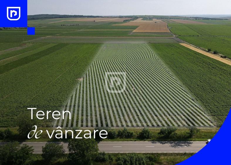 Teren - Orășeni Deal, Curtești | BOTOȘANI | 10.000mp